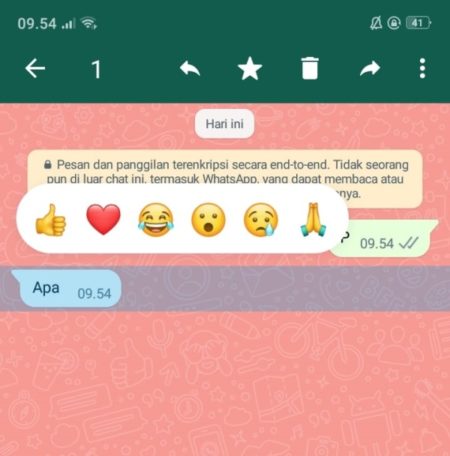 Cara Menggunakan
