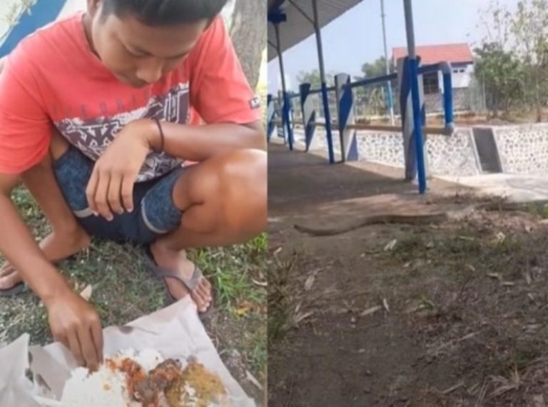 Santuy Makan Bersama di Bendungan Satu Keluarga Panik Gegara Ada Ular Kejar Tikus