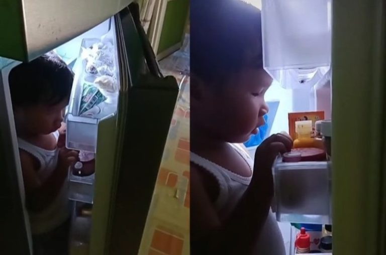 VIRAL Tingkah Lucu Bocah Masuk Kulkas Saat Marah ke Ibunya Ada ada Saja