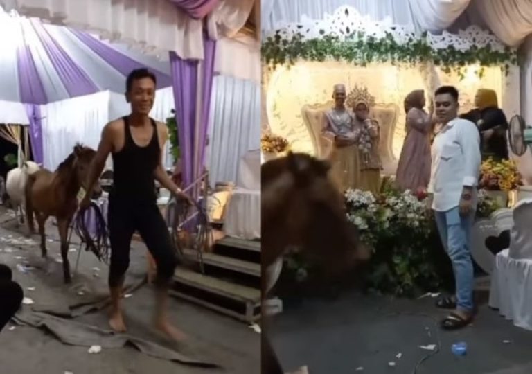 Viral Pria Bawa 3 Kuda Saat Lewat di Resepsi Pernikahan Pengantin Auto Ngakak