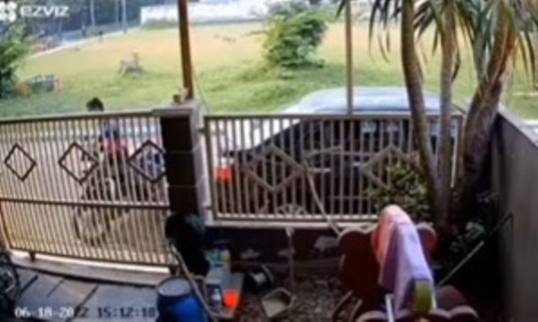 Modus Pura pura Minta Garam Pria ini Berhasil Curi Motor Milik Warga