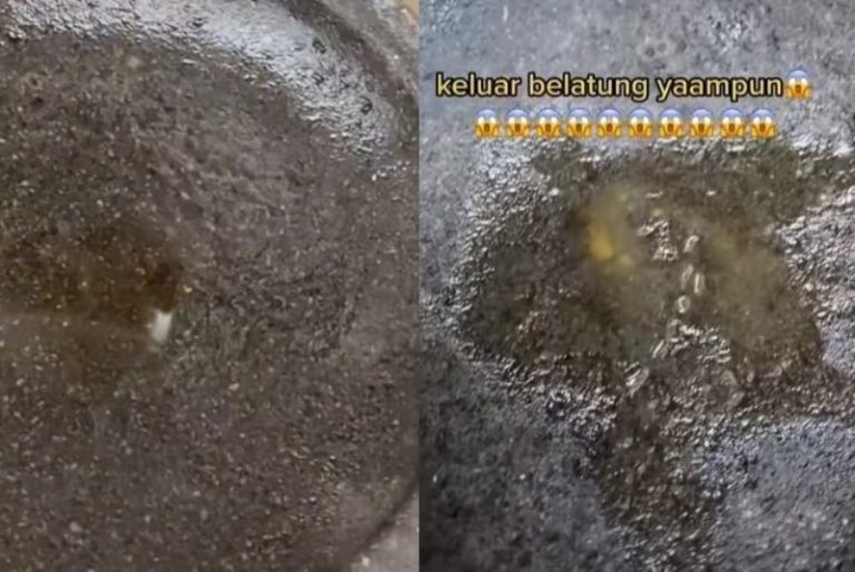 Ngeri Iseng Bakar Cobek Auto Syok Karena Keluar Banyak Belatung 1