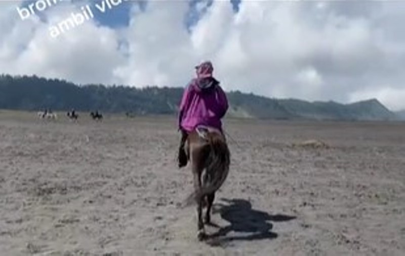 Viral Cerita Wisatawan Bromo Dipaksa Bayar Rp 50 Ribu Gara gara Rekam Kuda