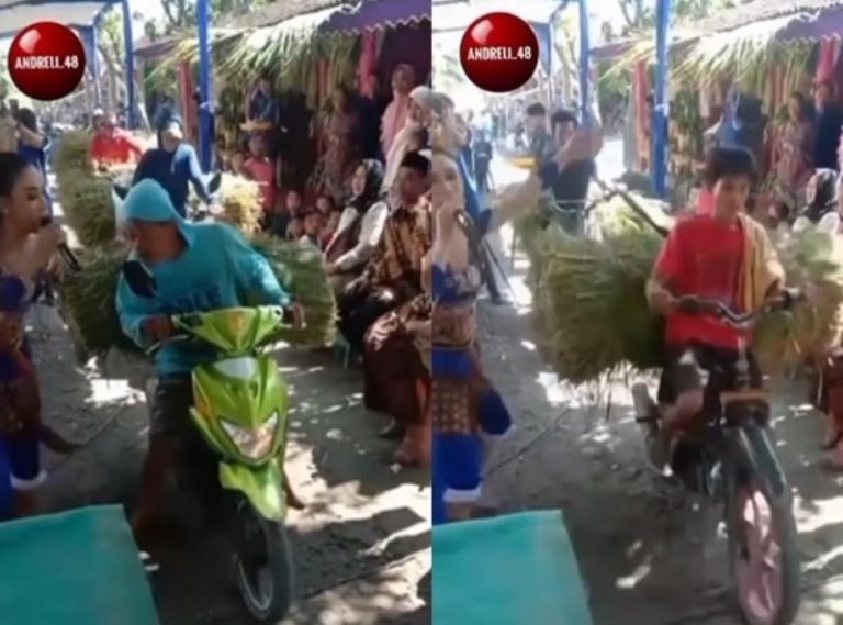 Viral Rombongan Pengangkut Rumput Terobos Tenda Pernikahan Saat Acara Dangdutan