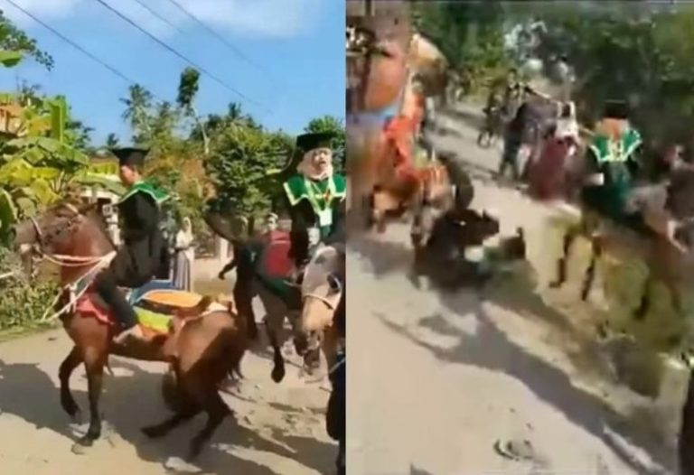Viral Wisudawan Diarak Keliling Kampung Naik Kuda Malah Berakhir Ngenes
