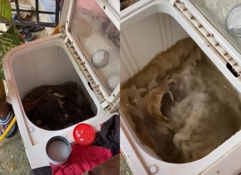 Anti Mainstream Pria ini Bersihkan Jeroan Hewan Kurban Pakai Mesin Cuci