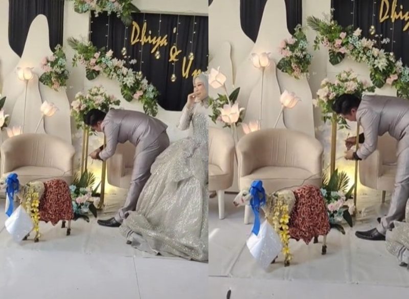 Diikat di Pelaminan Pasangan Pengantin ini Dapat Hadiah Kambing dari Teman temannya