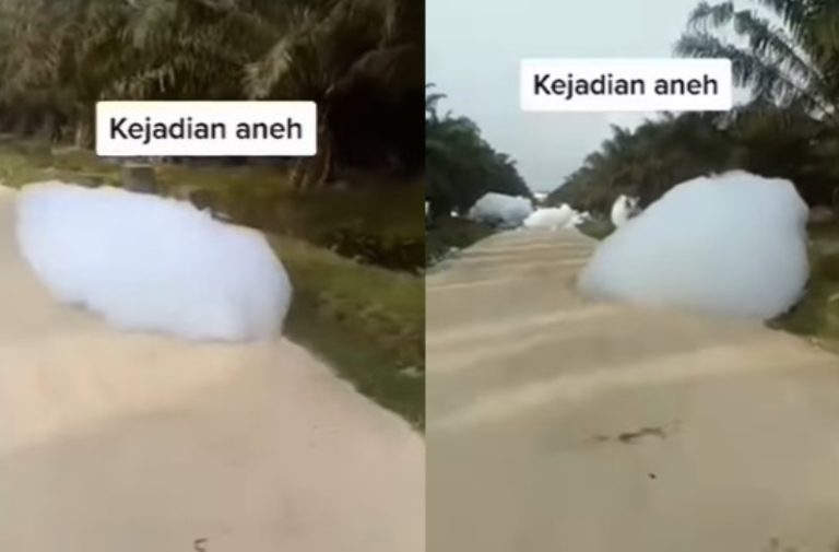 Heboh Fenomena ‘Awan Jatuh’ di Kebun Sawit Kampar Riau, Ini Faktanya Heboh Fenomena Awan Jatuh di Kebun Sawit Kampar Riau