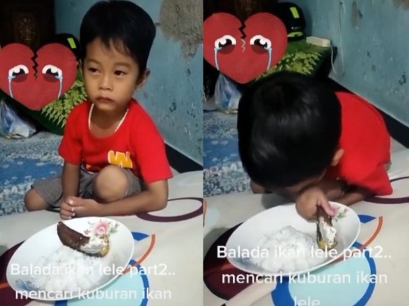 Kocak Bocah ini Menangis Histeris Saat Lele Miliknya Digoreng Minta Ziarah ke Makamnya