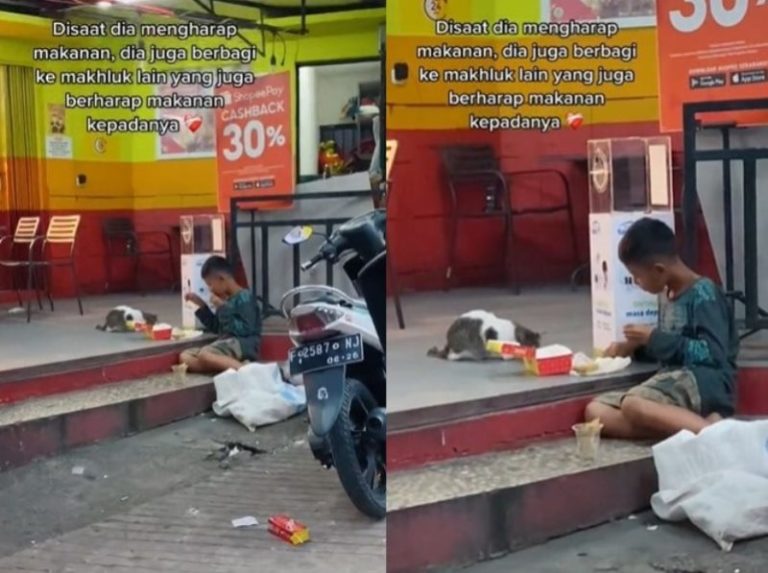 Momen Haru Bocah Makan dengan Seekor Kucing di Teras Restoran Lahap Banget