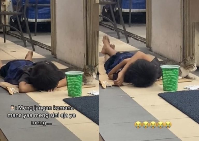 Momen Mengharukan Bocah Tidur di Emper Minimarket Sambil Ditemani Kucing Momen Mengharukan Bocah Tidur di Emper Minimarket Sambil Ditemani Kucing