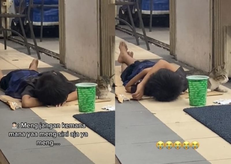 Momen Mengharukan Bocah Tidur di Emper Minimarket Sambil Ditemani Kucing