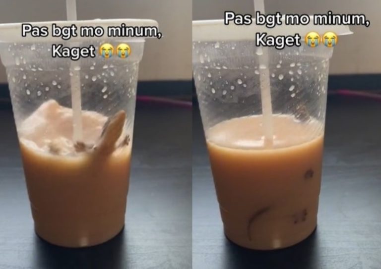 Sudah Habis Setengah Wanita ini Syok Temukan Cicak Berenang di Cup Minuman