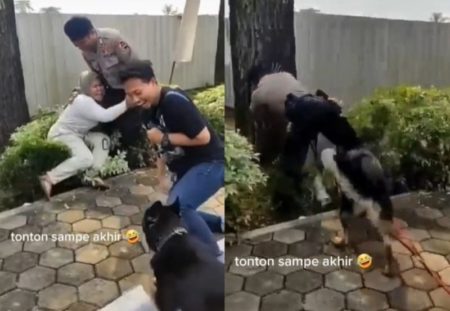 Takut Gegara Ada Anjing Wanita ini Nyaris Bikin Pak Polisi Ikut Nyungsep ke Semak semak