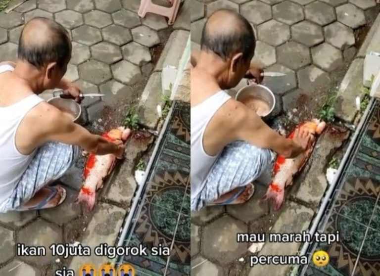 Viral Kakek ini Malah Potong Ikan Harga Rp 10 Juta Sang Cucu Auto Meringis