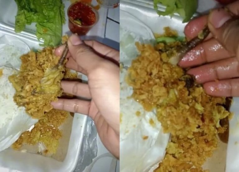 Auto Muntah! Wanita ini Syok Temukan Benda Mirip Ekor Tikus di Ayam Krispi Auto Muntah Wanita ini Syok Temukan Benda Mirip Ekor Tikus di Ayam Krispi