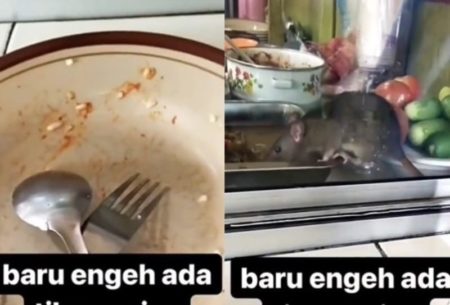 Baru Selesai Makan Pelanggan Kaget Ada Tikus Lagi Icip icip Lauk di Etalase Warteg