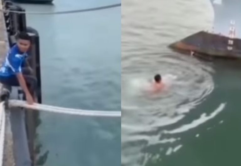 Detik detik Aksi Heroik Pria Terjun ke Laut Demi Selamatkan Kucing yang Nyaris Tenggelam