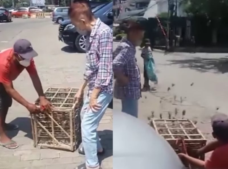 Bukan Mau Dipelihara Bapak ini Borong Burung Sekandang Untuk Dilepaskan ke Alam