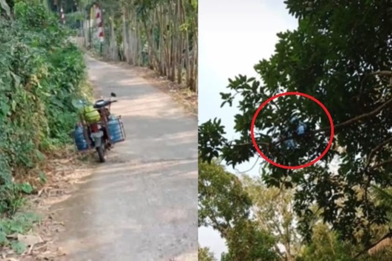 Gegara Ngebut Galon yang Diangkut Pria ini Sampai Nyangkut di Pohon Kok Iso