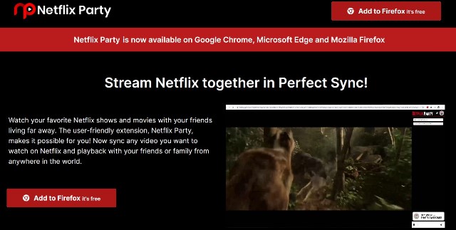 Netflix Party Netflix Party