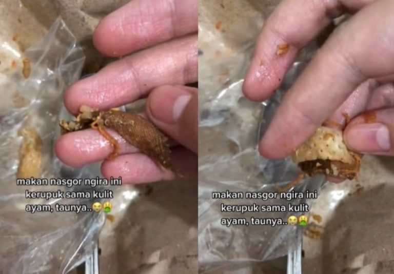 Sempat Dikunyah Wanita ini Syok Parah Karena Ada Plester Luka di Nasi Goreng