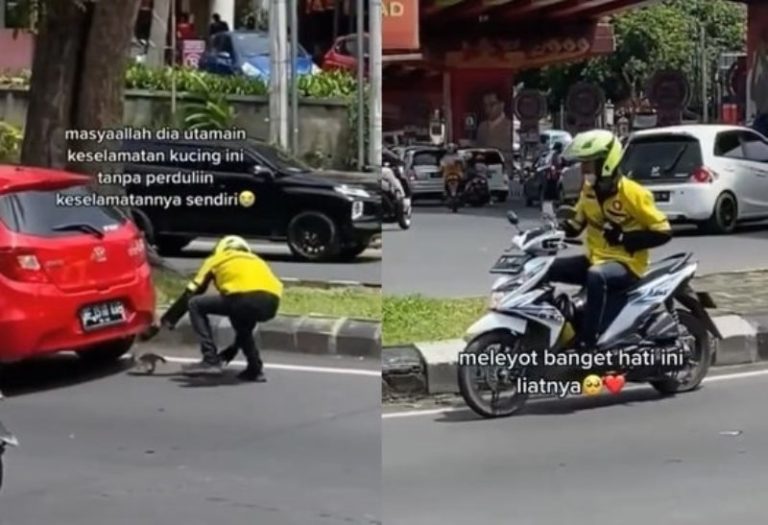 Aksi Heroik Driver Ojol Selamatkan Anak Kucing di Kolong Mobil Bikin Hati Meleyot