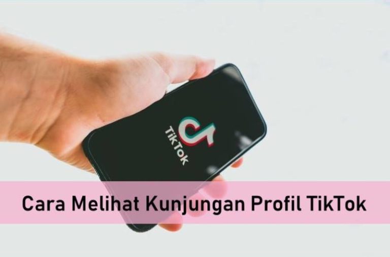 Cara Melihat Kunjungan Profil TikTok