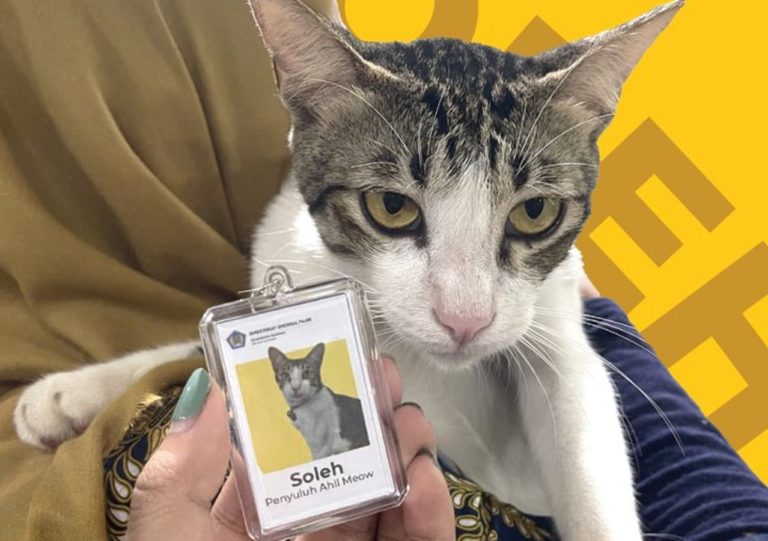 Viral Soleh Seekor Kucing yang Diangkat Jadi Pegawai Kantor Pajak Serpong