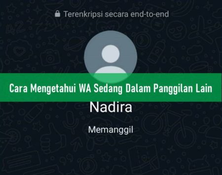 Cara Mengetahui WA Sedang Dalam Panggilan Lain