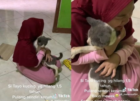 Hilang 15 Tahun Kucing ini Akhirnya Kembali Pulang Sampai Bikin Pemiliknya Nangis Kejer