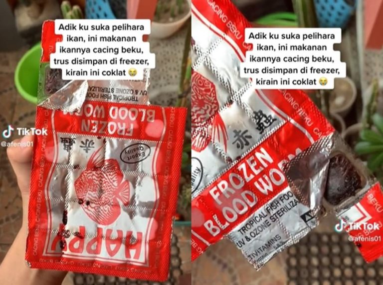 Syok Parah Wanita ini Tak Sengaja Makan Cacing Beku Gegara Dikira Cokelat