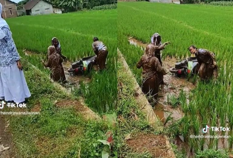 VIRAL Siswi Bonceng Tiga Nyungsep ke Sawah Wajah dan Sekujur Tubuh Penuh Lumpur