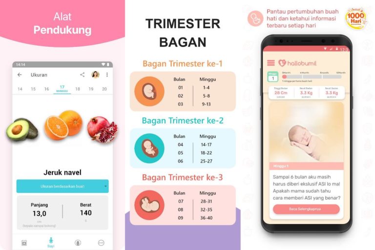 Aplikasi untuk Mengetahui Usia Kehamilan