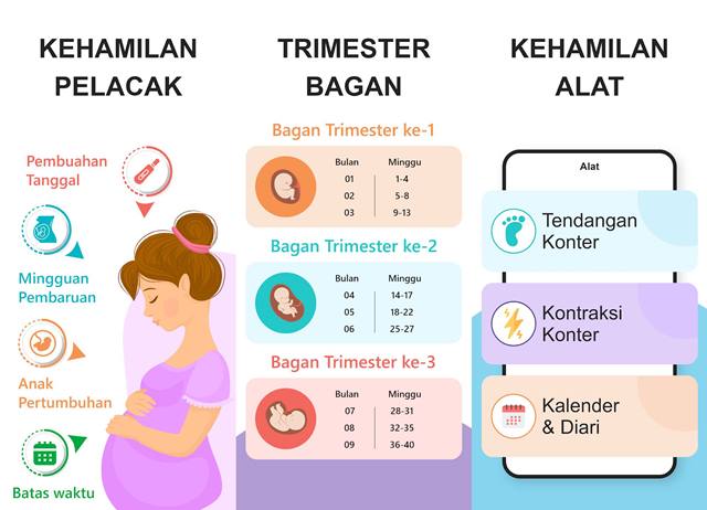 Pregnancy Calculator dan Calendar - Apk untuk Mengetahui Usia Kehamilan