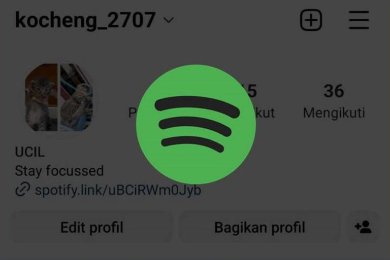 Cara Membuat Link Spotify di Instagram