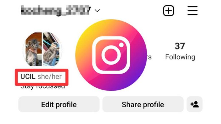 Cara Menambahkan She Her di Instagram 1