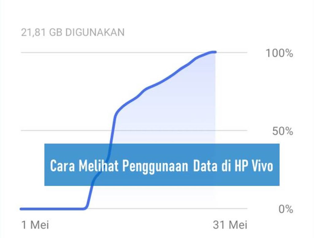 Cara Melihat Penggunaan Data di HP Vivo