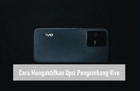 Cara Mengaktifkan Opsi Pengembang Vivo