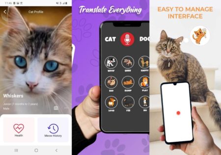 Aplikasi Penerjemah Bahsa Kucing