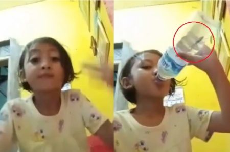 Bocah ini Tak Sadar Minum Air Berisi Ikan Cupang