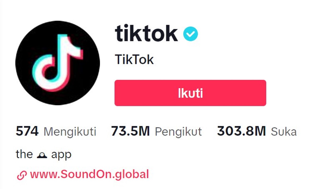 Cara Mendapatkan Centang Biru di TikTok