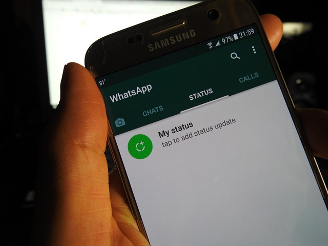 Cara Menghilangkan Bio WhatsApp