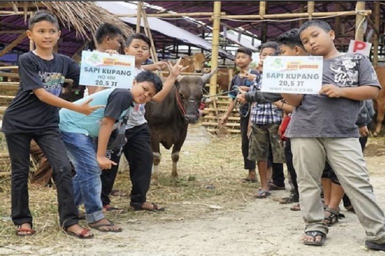 Kisah 7 Bocah Laki Laki Nabung Buat Beli Sapi Qurban