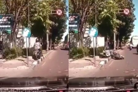 Pemotor ini Tabrak Pohon Sampai Nyungsep