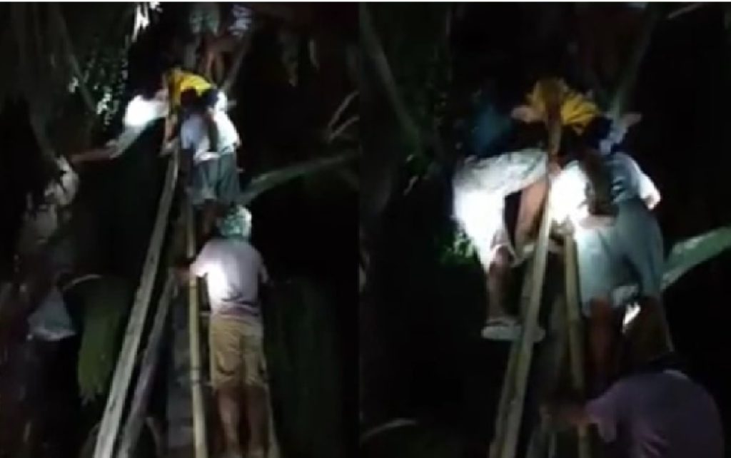 Seorang Warga Ditemukan Pingsan di Atas Pohon Aren