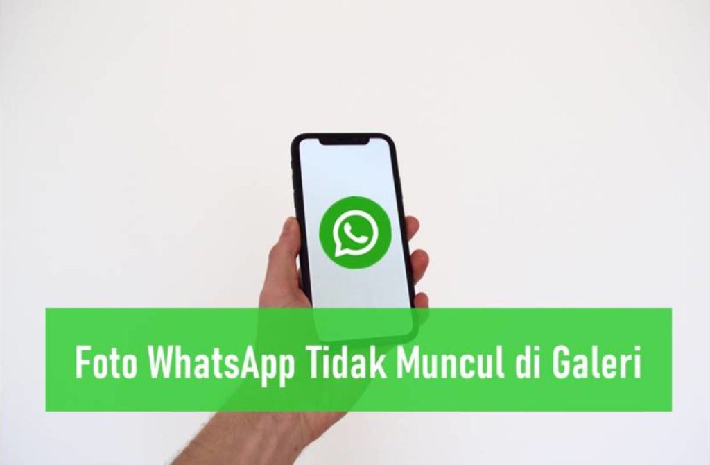 Foto WhatsApp Tidak Muncul di Galeri