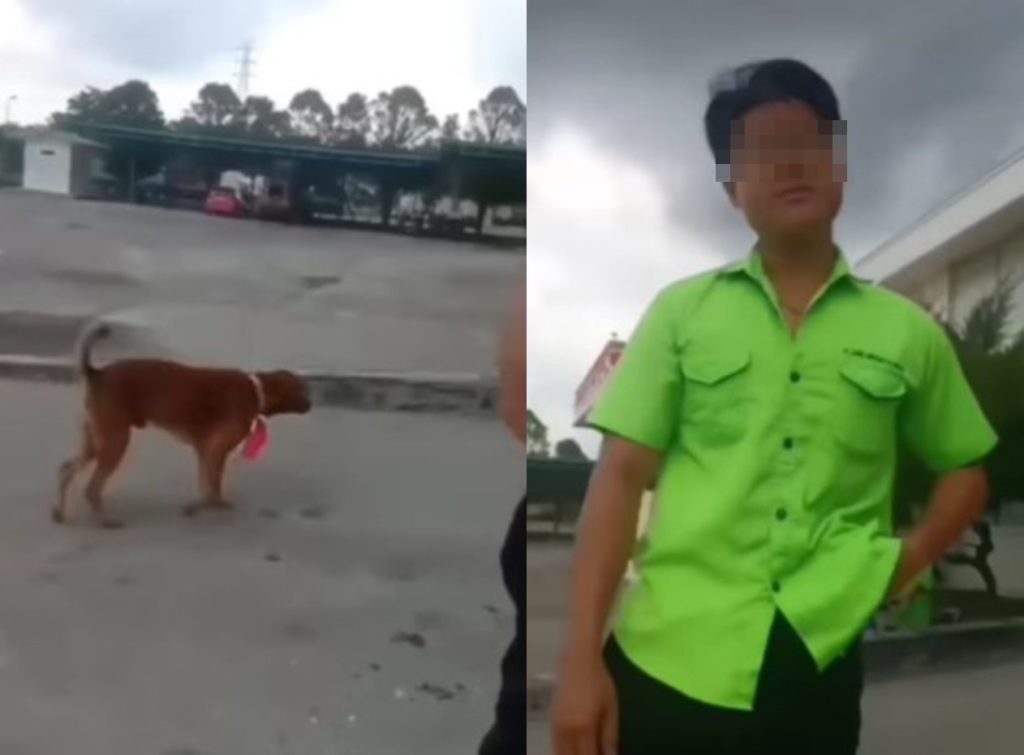 VIRAL Aksi Pria Kalungkan Bendera Merah Putih ke Anjing, Berujung Diciduk Polisi