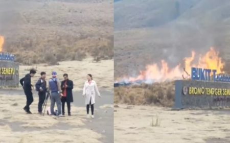 Bukit Teletubbies Bromo Kebakaran Gegara Pasangan Foto Prewedding Nyalakan Flare