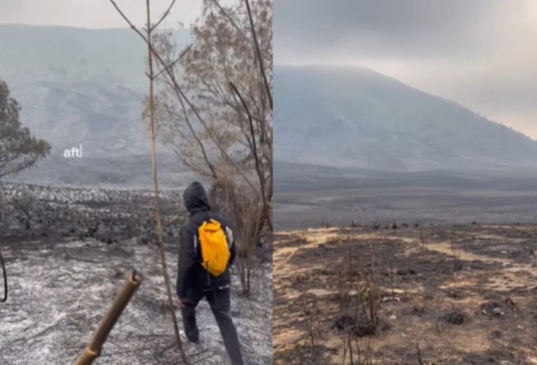 VIRAL Kondisi Terkini Savana Bromo Usai Kebakaran Hebat, Jadi Lautan Abu!
